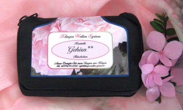 Set Gehirn